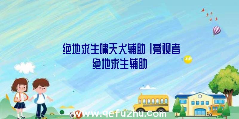 「绝地求生啸天犬辅助」|旁观者绝地求生辅助